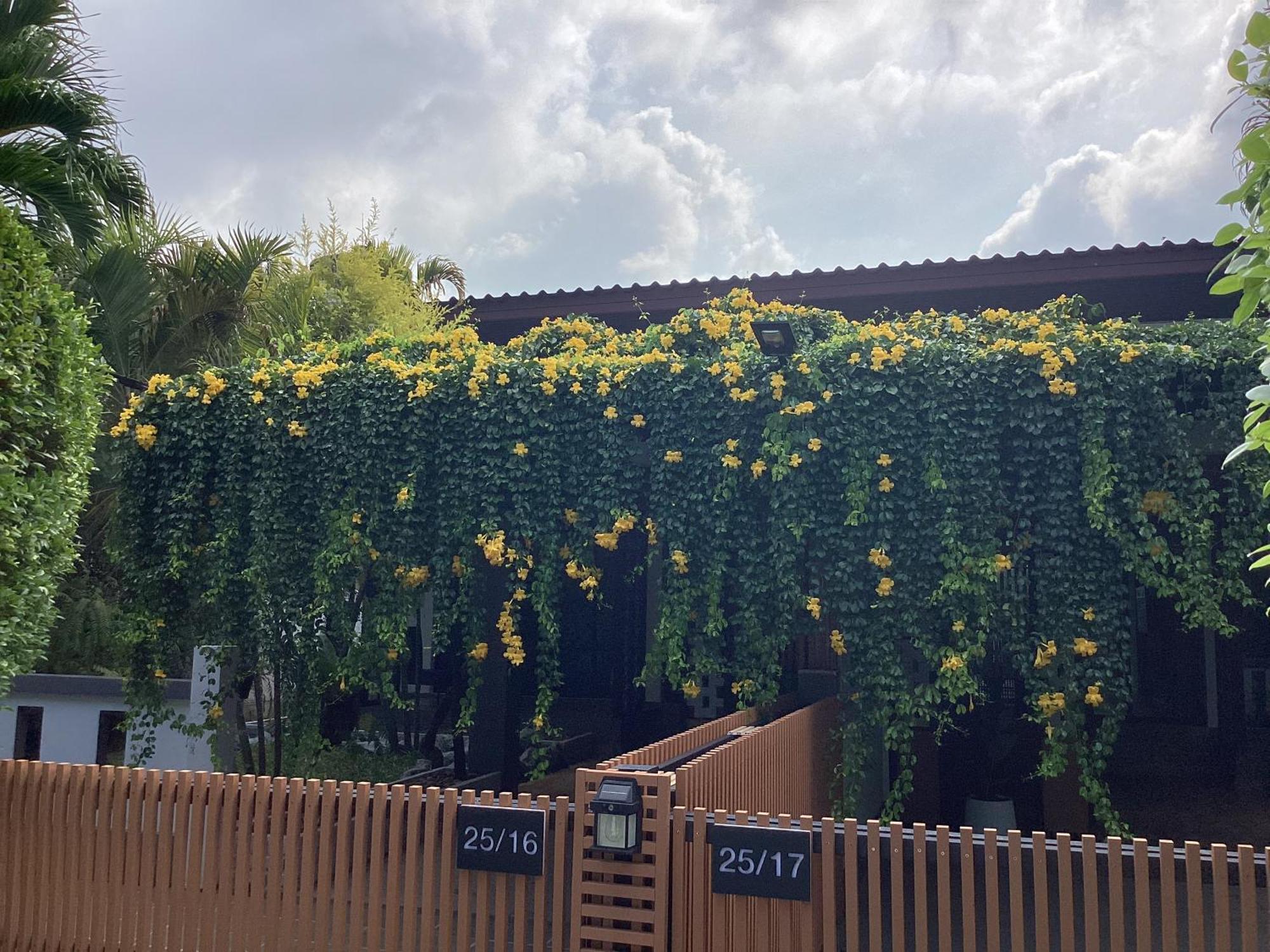 T House Villa Bãi biển Bang Tao Ngoại thất bức ảnh